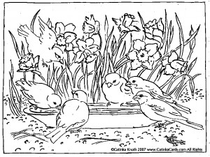 Spring Daffodils and Birds Coloring Page
