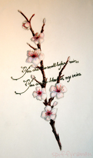Desenhos- Tatuagem Cerejeira / Cherry Blossom TATTOO