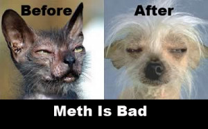 Minecraft/XBL/Steam User Name: Jeebusify119