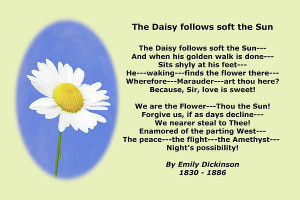Daisy Poems http://fineartamerica.com/products/emily-dickinson-daisy ...