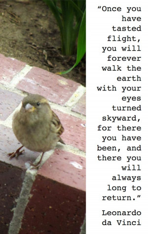 ... Quotes Worth, Flying Quotes, Truths, Leonardo De, Leonardo Da Vinci