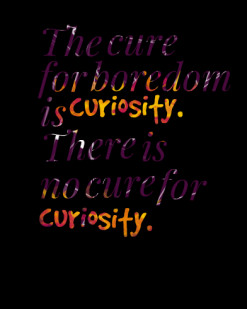 The Cure For Boredom Is Curiosity. There Is No Cure For Curiosity ...