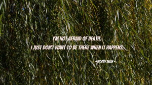 not afraid of death... quote wallpaper