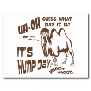 Hump Day Wednesday Funny Camel Postcard