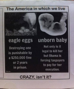 Unborn Baby vs. Eagle's Eggs... God, Prolife, Sadness, Pro Life, Quote ...