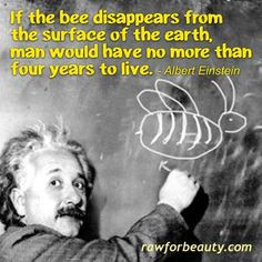 save the bees more famous quotes einstein quotes albert einstein bees ...