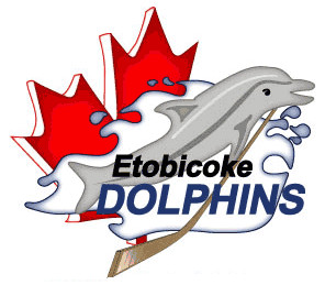 ... Dolphins Primary Logo (2007) - A dolphin holding a hockey
