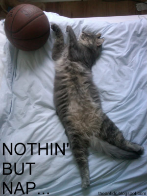 Funny One Liners Sarcastic,