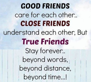 Friendship Quotes