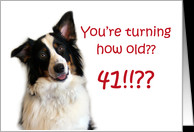Dog Years, Birthday 41 Years Old card - Product #605307