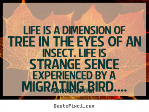... more life quotes success quotes love quotes motivational quotes