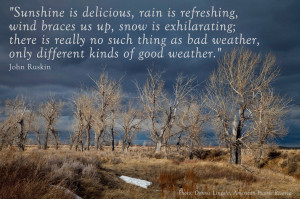 Prairie Inspiration: Timeless Quotes for Reflecting on Nature ...