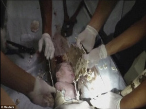 Firefighters and doctors rescue an abandoned newborn baby boy by ...