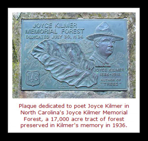 winter afternoon in 1913, at his home in New Jersey, poet Joyce Kilmer ...