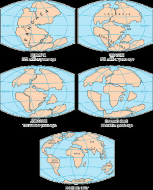 Continental Drift from 225 million years ago to present day