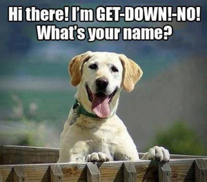 Hi there!!! I am get down no whats your name?