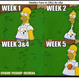 fans real steeler fans don t change over the past few weeks has been ...