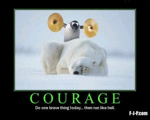 Penguin clashing symbals over sleeping polar bear image - Courage - do ...
