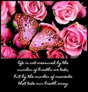 Butterfly Quote