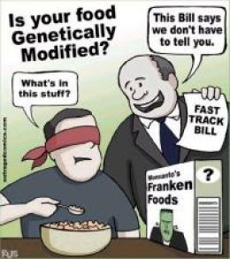 digital signature for a corporation charter to ensure no conflict of ...