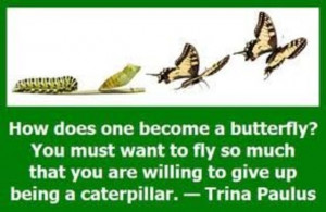 20140319174032-trina_paulus_butterfly_quote