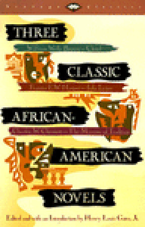Three Classic African-American Novels: Clotel, Iola Leary, The Marrow ...