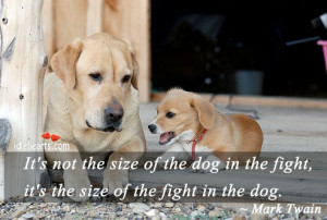 ... size of the dog in the fight, it’s the size of the fight in the dog