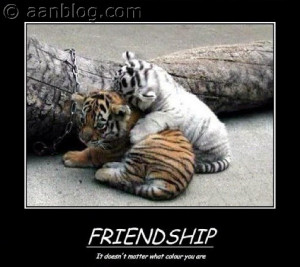 Friendship-Quotes-It-does-not-matter-what-color-you-are-funny-picture