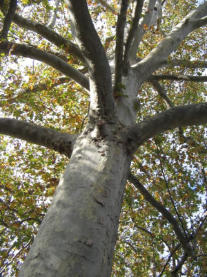 Essay box quotes video essay assignment sample cover letter for job ...