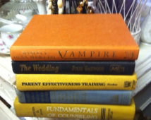 Vintage Mixed Color Book Stack Fiv e Books ...