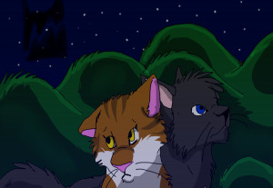 Funny Quotes Contact Us DMCA Notice