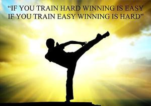 KARATE-KUNG-FU-INSPIRATIONAL-MOTIVATIONAL-QUOTE-POSTER-PRINT-PICTURE