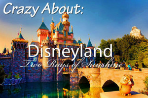 Disney World Park Tickets