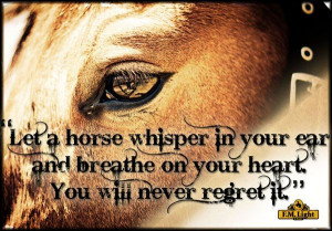 Cowgirl and Horse Sayings | horse whisper quote jpg let a horse ...