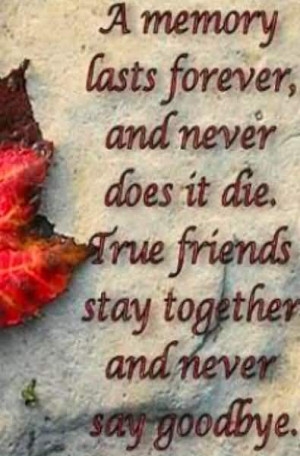 Memory Lasts Forever And Never Does It Die True Friends Stay Together ...