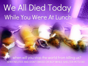 Staying silent only makes you an accessory to murder, you know, and ...