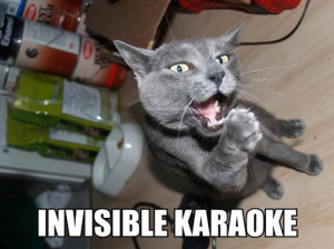 ... .net/images/2010/10/07/invisible_karaoke_cat.jpg_1286408982.jpg