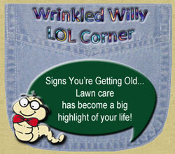 All the Kings Horses and All The Kings Men have not had to put our ...