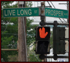 Star Trek Live Long and Prosper Streets