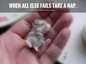When All Else Fails Take a Nap Quotes