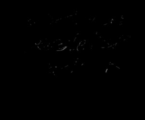 ... cover using the quotes on the left. Click the button below to proceed