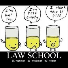 Law School Realities