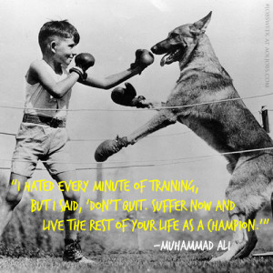 AOL.com About Us Follow Us :