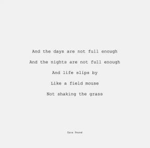 Pinned by Catherine C.