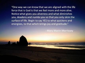 One way that we know that we are aligned with the life force that is ...