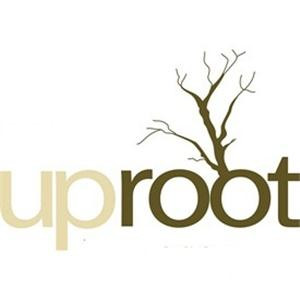 Uproot Restaurant, Warren — Uproot’s menu offers new and often ...