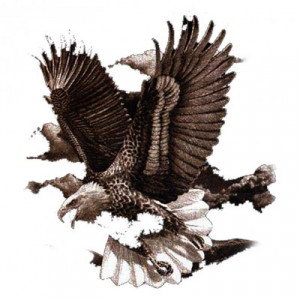 ... Pictures background at weheartit courtesy aseriquays funny quotes