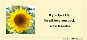 have found that if you love life ,