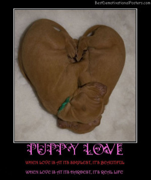 puppy-love-dog-simple-best-demotivational-posters