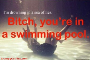 Sea Of Lies Swimming Pool Joke Funny Caption Picture